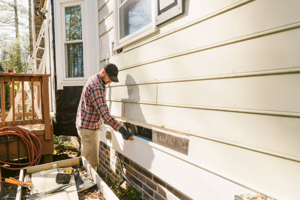 Top rated local Siding Repair specialists in Mundelein, IL